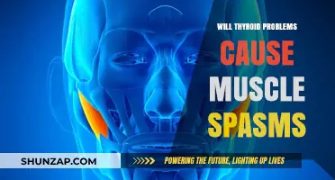 Thyroid Issues and Muscle Spasms: Understanding the Connection and Symptoms