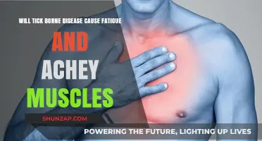 Tick-Borne Diseases: Unraveling Fatigue and Muscle Pain Connections