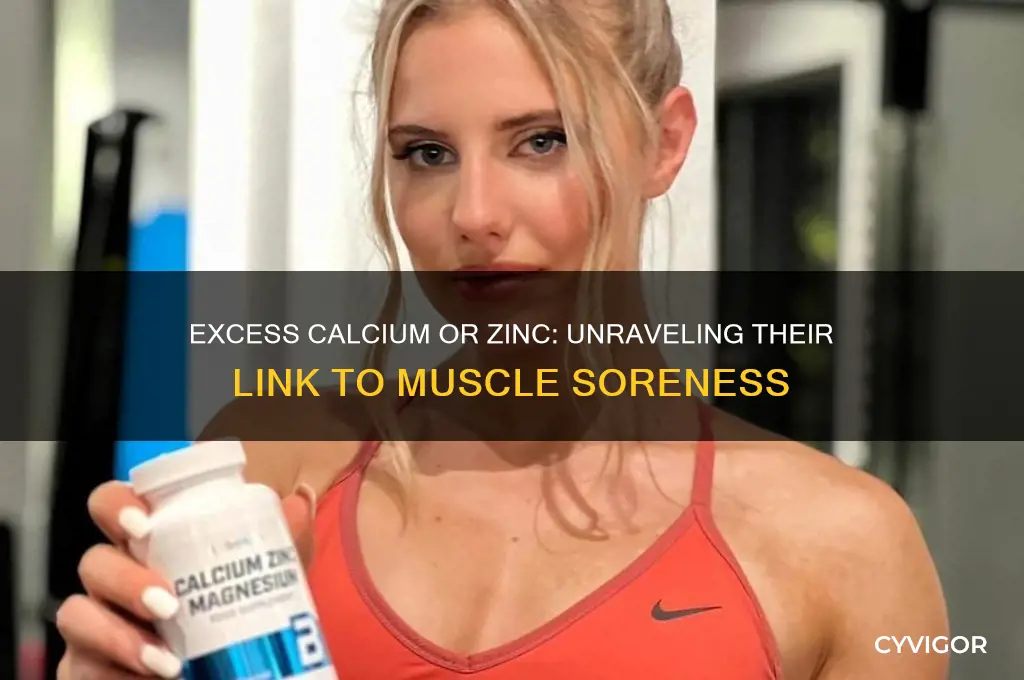 will to much calcium or zinc cause muscle soreness