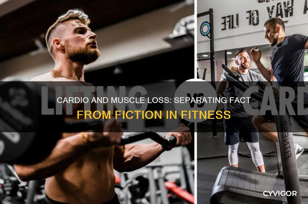will too much cardio cause muscle loss