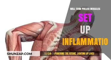 Torn or Pulled Muscles: Unraveling the Link to Inflammation