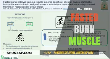 Fasted Training: Muscle Loss or Effective Fat Burn?
