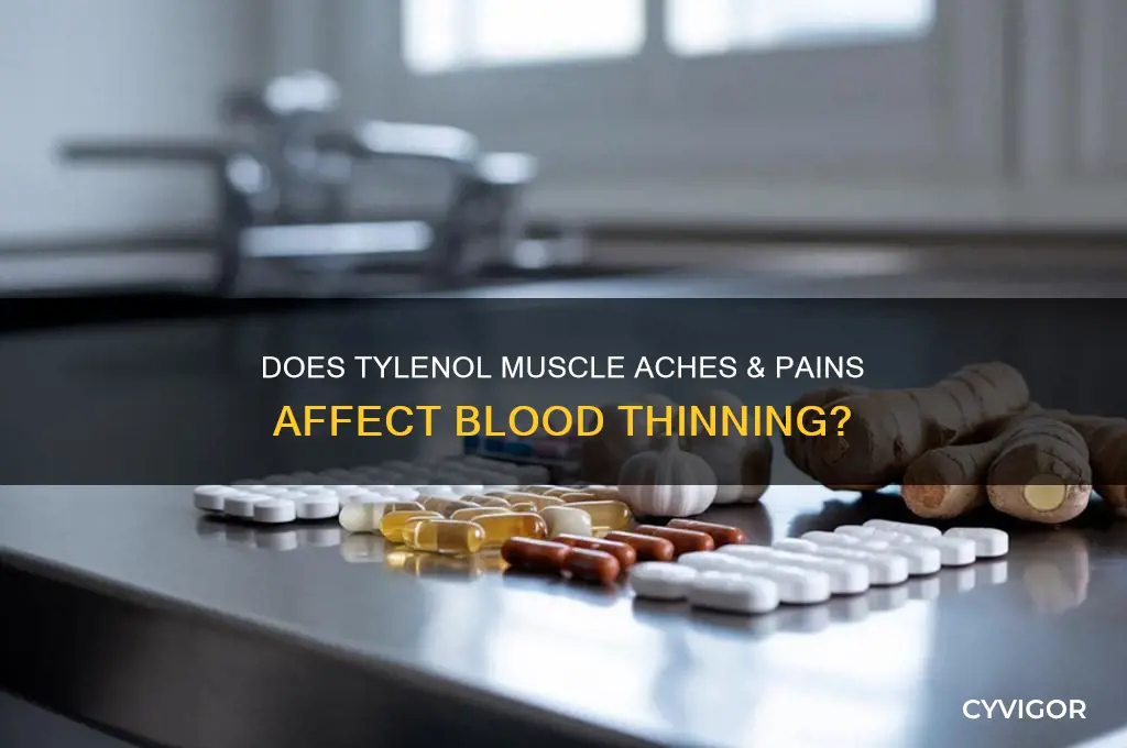 will tylenol muscle aches and pains thin my blood