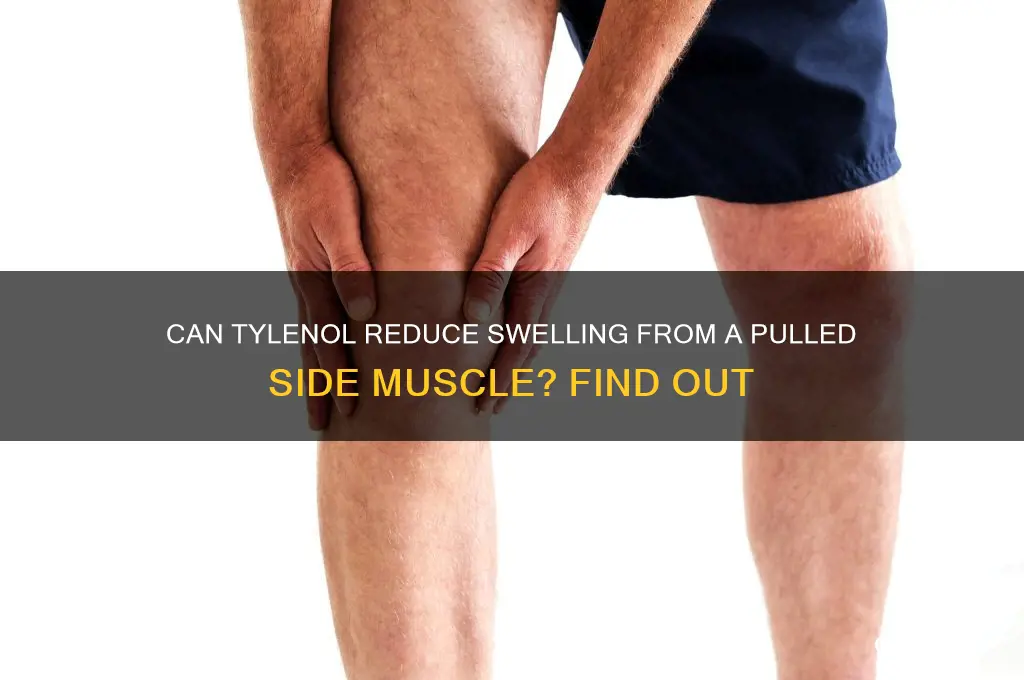 will tylenol reduce swelling of pulled muscle in side