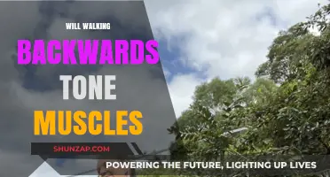 Walking Backwards: Muscle Toning Miracle or Myth?