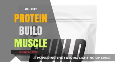 Unlocking Muscle Growth: The Power of Whey Protein Explained