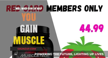 Whey Tech 24: Effective Muscle Gain Supplement or Overhyped?