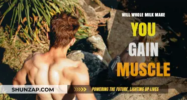 Whole Milk for Muscle Gain: Fact or Fiction?