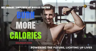Maximize Calorie Burn: Pairing Complementary Muscles for Efficient Workouts