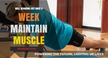 Can Weekly Workouts Sustain Muscle Mass? Exploring the Once-a-Week Myth