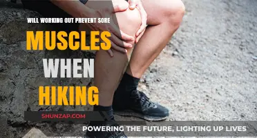 Can Regular Workouts Prevent Sore Muscles During Hiking Adventures?