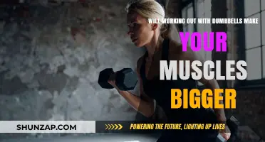 Dumbbell Workouts: The Key to Building Bigger Muscles?