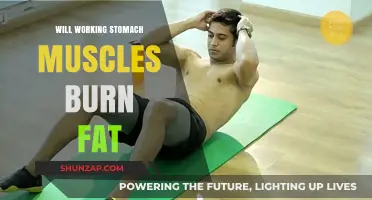 Can Toned Abs Really Melt Away Belly Fat? The Truth Revealed