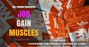 Can Warehouse Work Build Muscle? Exploring Physical Benefits of Labor Jobs