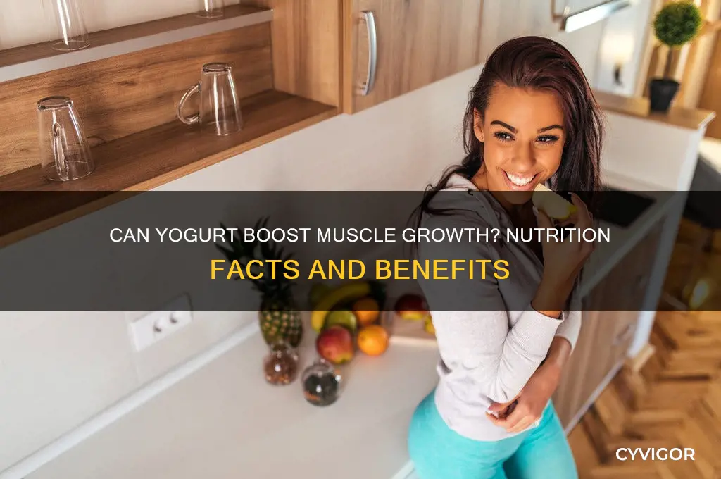 will yogurt help me gain muscle mass
