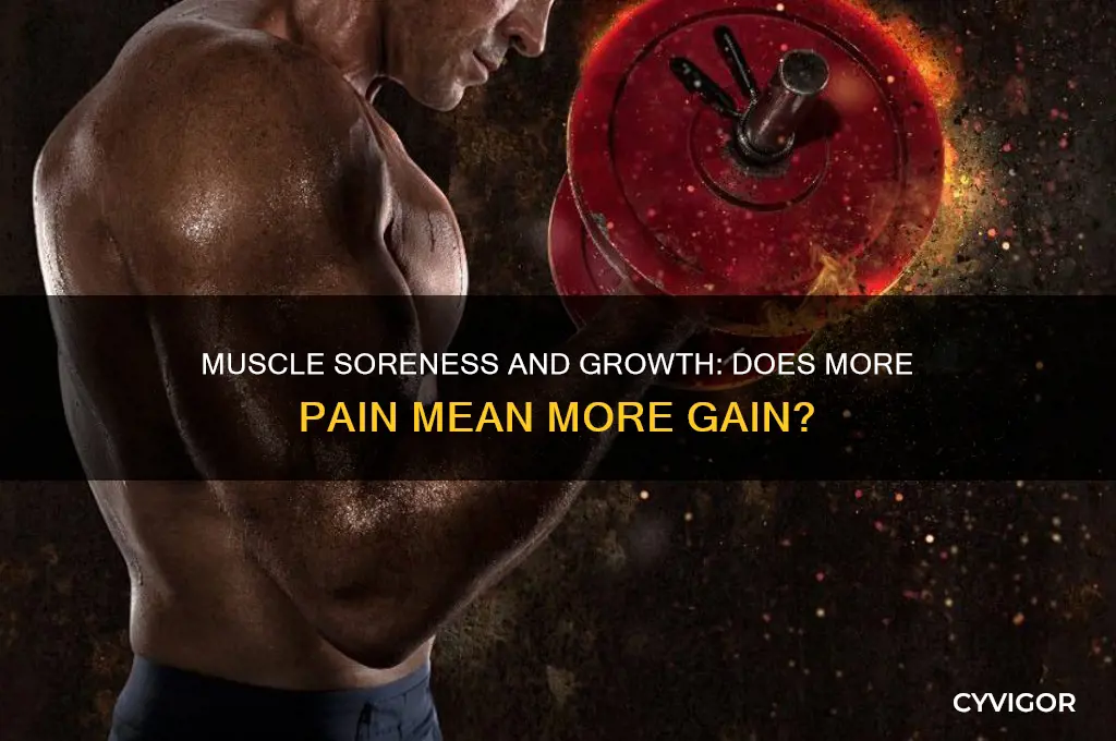 will you buildmore muscle the more sore you are