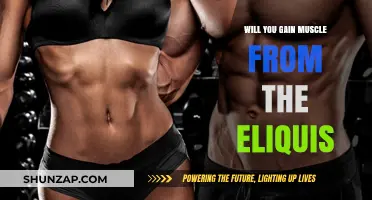 Can Eliquis Use Lead to Muscle Gain? Separating Fact from Fiction