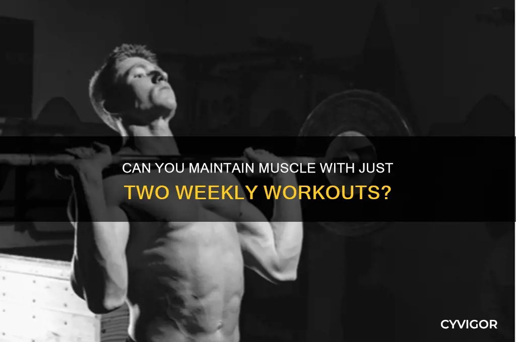 will you lose muscle working out two days a week