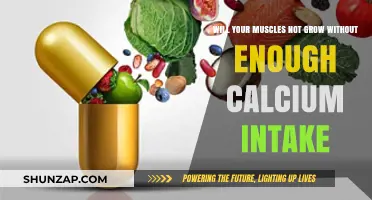 Calcium Deficiency: Can Your Muscles Grow Without Enough Intake?