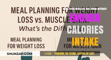 Calories and Muscle Growth: The Essential Link for Building Mass