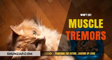 Muscle Tremors: Eating Disorders and Their Impact