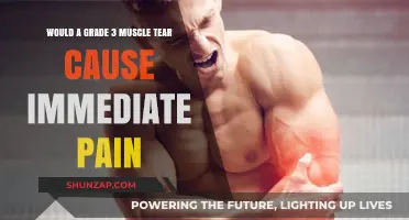 Immediate Pain from Grade 3 Muscle Tear: What to Expect