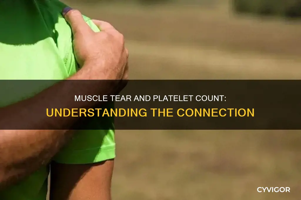 would a muscle tear cause a high platelet count