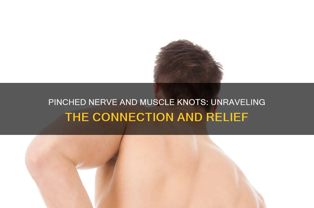 would a pinched nerve cause muscle knots