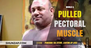 Pulled Pectoral Muscle: Symptoms, Causes, and Recovery Tips Explained