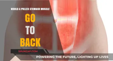 Pulled Stomach Muscle: Can It Cause Back Pain? Understanding the Connection
