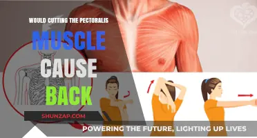 Does Cutting the Pectoralis Muscle Lead to Back Pain?