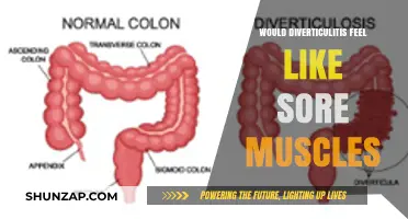 Diverticulitis vs. Muscle Pain: Understanding the Difference in Symptoms