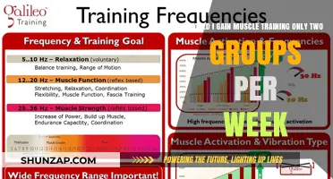 Can You Build Muscle Training Only Two Muscle Groups Weekly?