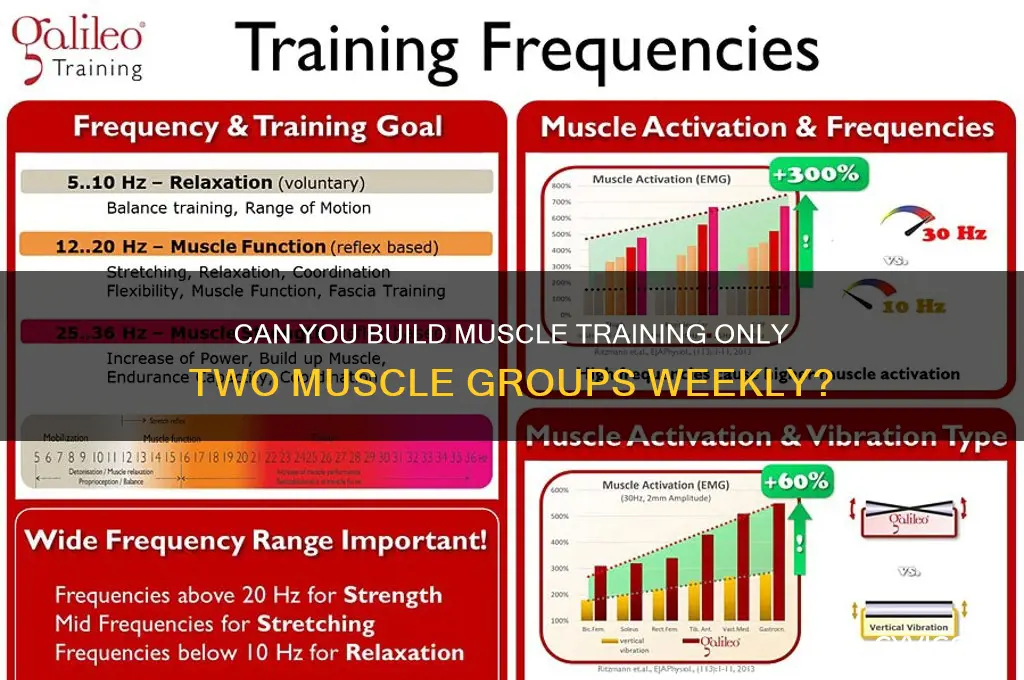 would i gain muscle training only two groups per week