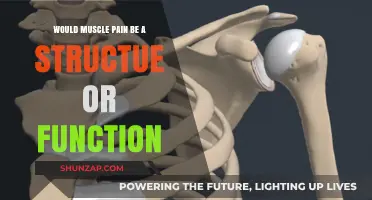 Muscle Pain: Structure vs. Function – Unraveling the Connection