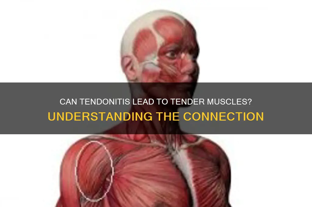would tenonitis cause tender muscles